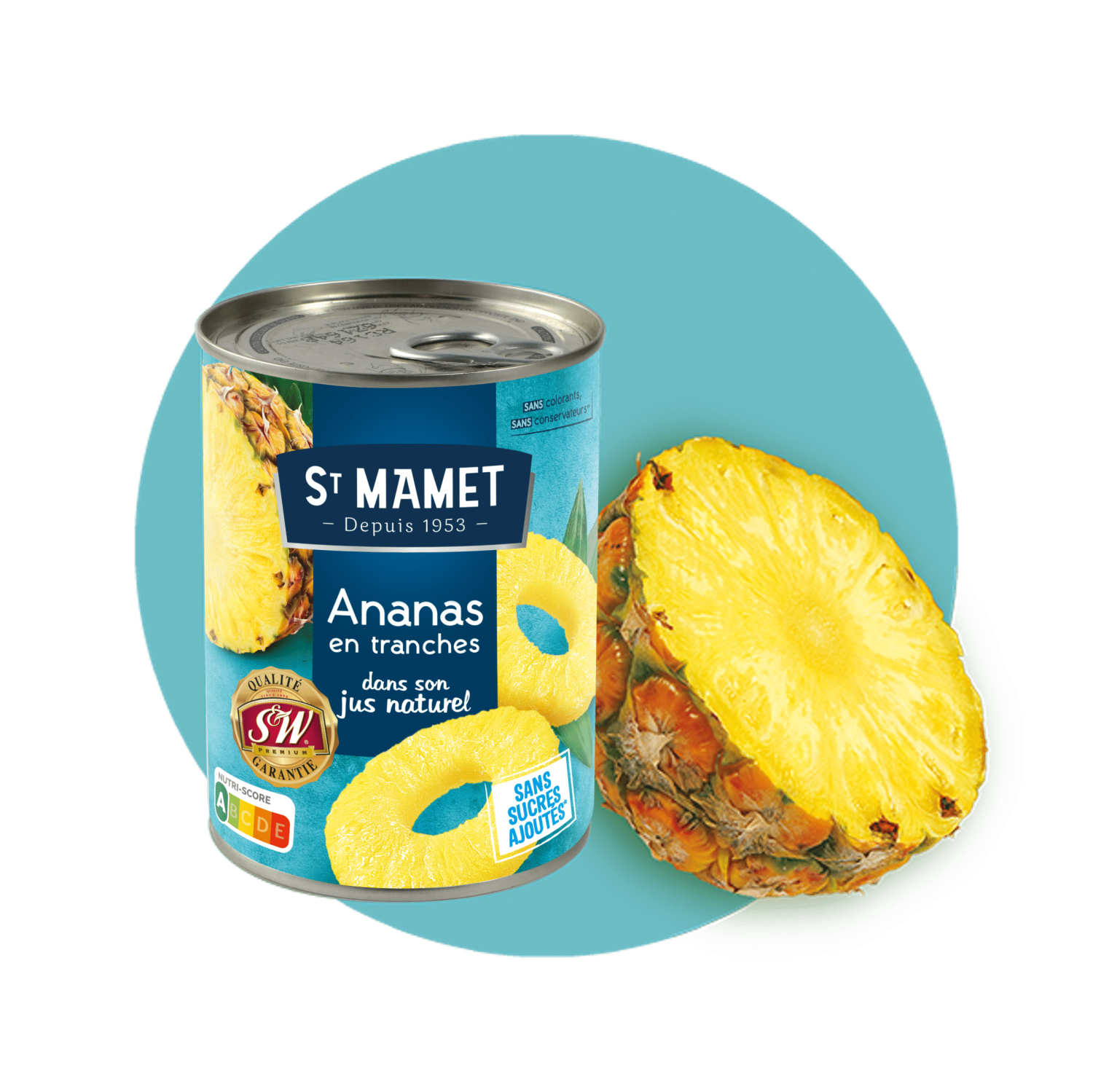 ST MAMET ANANAS EN TRANCHES