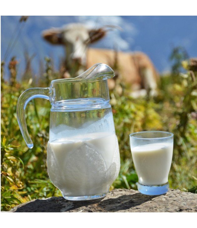 BEURRE DE LAIT DE VACHE