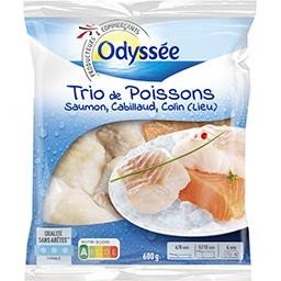 Odyssée Trio de Poisson